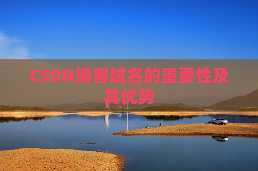 CSDN博客域名的重要性及其优势